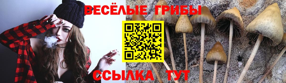 Галлюциногенные грибы ЛСД  Вход с VPN  Электросталь 